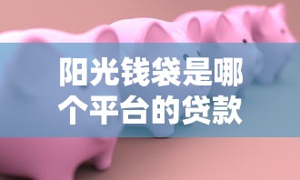 阳光钱袋是哪个平台的贷款口子