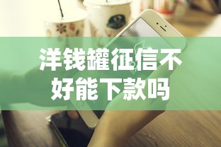 洋钱罐征信不好能下款吗