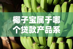 椰子宝属于哪个贷款产品系列