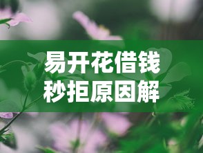 易开花借钱秒拒原因解析
