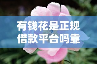 有钱花是正规借款平台吗靠谱吗