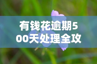 有钱花逾期500天处理全攻略