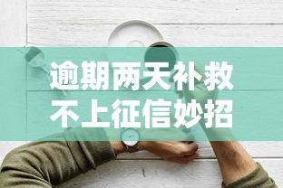 逾期两天补救不上征信妙招