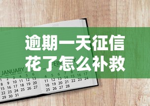 逾期一天征信花了怎么补救