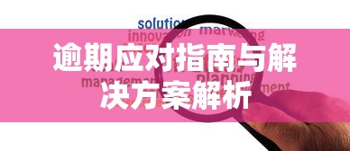 逾期应对指南与解决方案解析