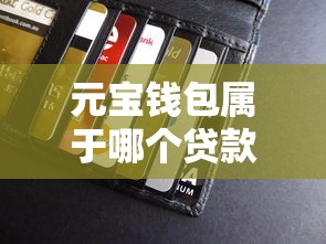 元宝钱包属于哪个贷款口子