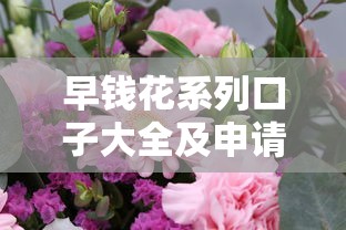早钱花系列口子大全及申请攻略