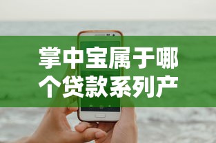 掌中宝属于哪个贷款系列产品