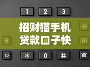 招财猫手机贷款口子快速下款