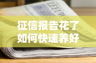 征信报告花了如何快速养好