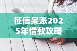 征信呆账2025年借款攻略
