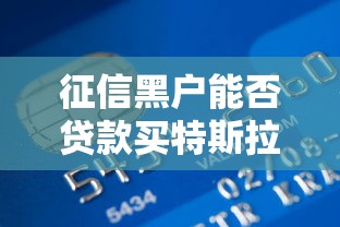 征信黑户能否贷款买特斯拉