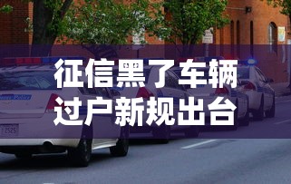 征信黑了车辆过户新规出台
