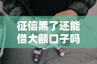 征信黑了还能借大额口子吗