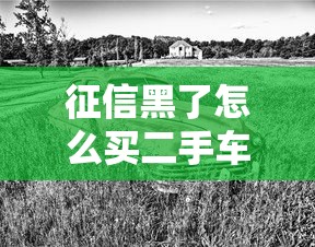 征信黑了怎么买二手车险