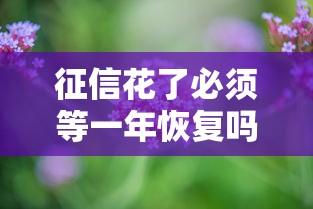 征信花了必须等一年恢复吗
