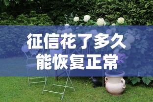 征信花了多久能恢复正常