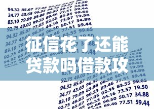 征信花了还能贷款吗借款攻略