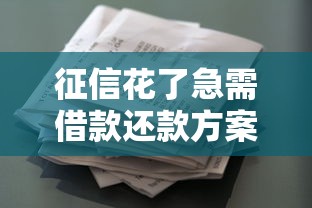 征信花了急需借款还款方案