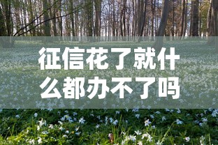 征信花了就什么都办不了吗