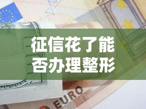 征信花了能否办理整形分期付款