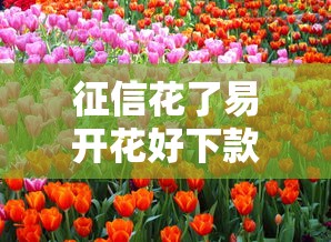征信花了易开花好下款吗