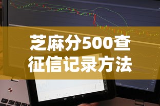 芝麻分500查征信记录方法指南
