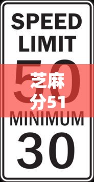 芝麻分510快速借款平台推荐