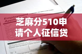 芝麻分510申请个人征信贷款攻略