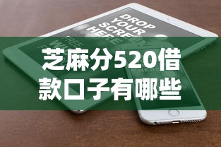 芝麻分520借款口子有哪些