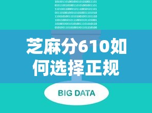 芝麻分610如何选择正规贷款平台