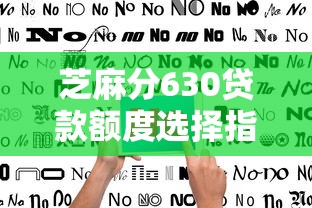 芝麻分630贷款额度选择指南