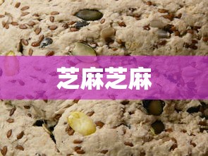 芝麻芝麻