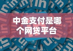 中金支付是哪个网贷平台
