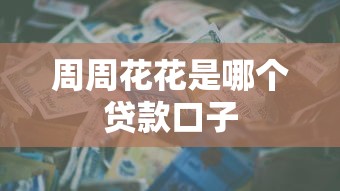 周周花花是哪个贷款口子