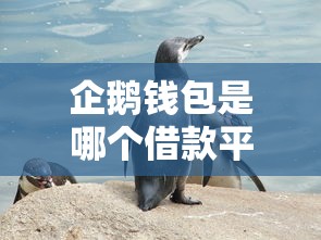 企鹅钱包是哪个借款平台口子