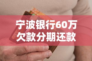 宁波银行60万欠款分期还款指南