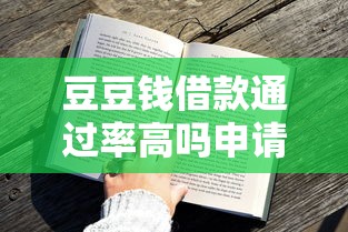 豆豆钱借款通过率高吗申请技巧