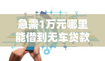 急需1万元哪里能借到无车贷款