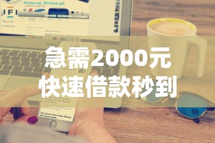 急需2000元快速借款秒到账方法