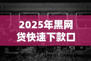 2025年黑网贷快速下款口子合集