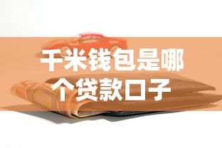 千米钱包是哪个贷款口子