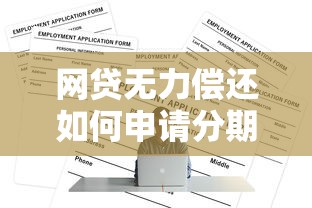 网贷无力偿还如何申请分期还款