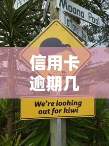 信用卡逾期几天上征信不良