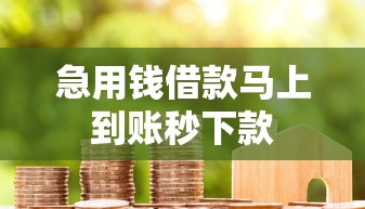 急用钱借款马上到账秒下款