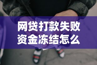 网贷打款失败资金冻结怎么办