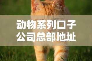 动物系列口子公司总部地址查询