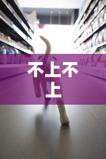 不上不上