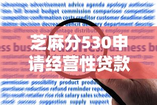 芝麻分530申请经营性贷款全攻略