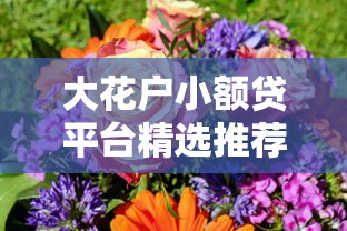 大花户小额贷平台精选推荐